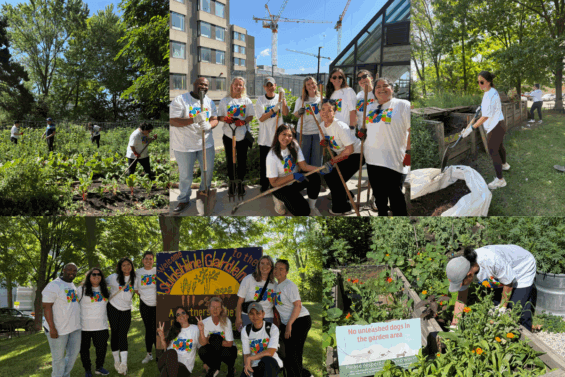 Toronto team at the Sunshine Garden for DCI Cares Day 2025