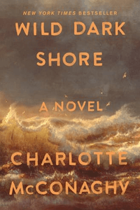 Wild Dark Shore cover