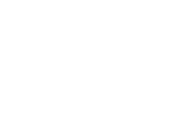 Look at LEX logo
