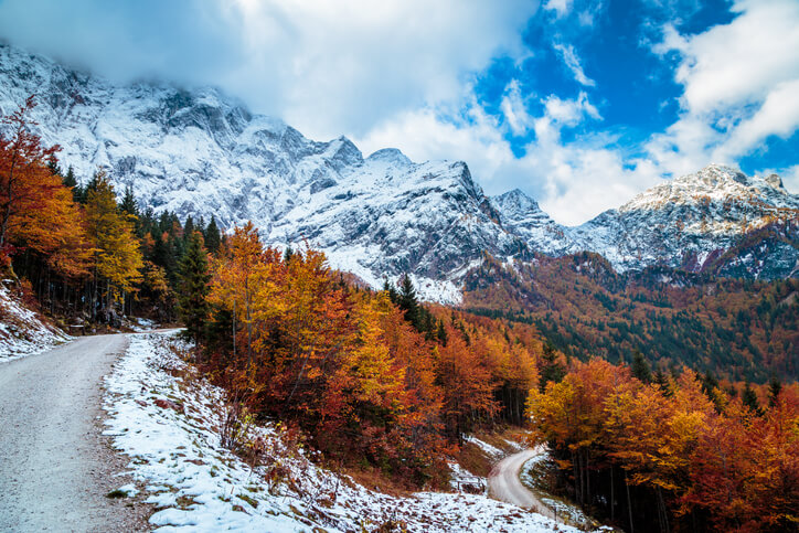 a trekking road in the italian alps douring a colorful autumn