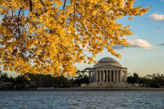 Thomas Jefferson memorial during the fall in Washington D.C.