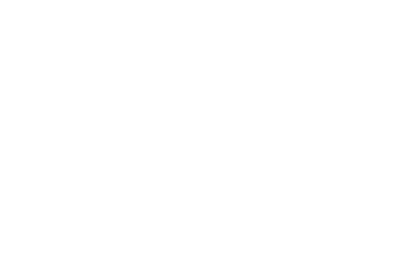 Netherlands Foreign Investment Agency logo